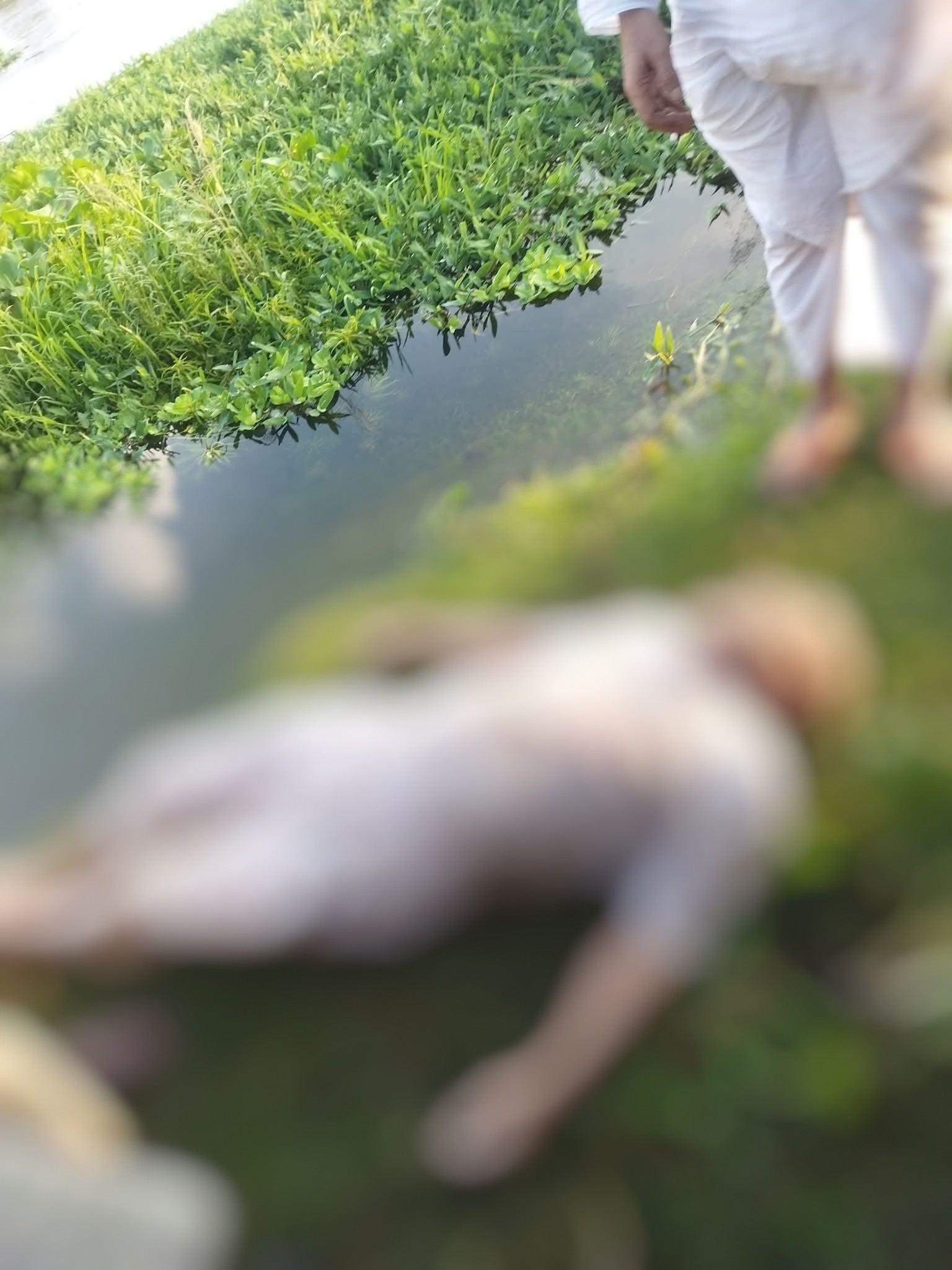 নাগেশ্বরী হলি কেয়ার ক্লিনিকের মালিকের ম*র*দেহ উদ্ধার