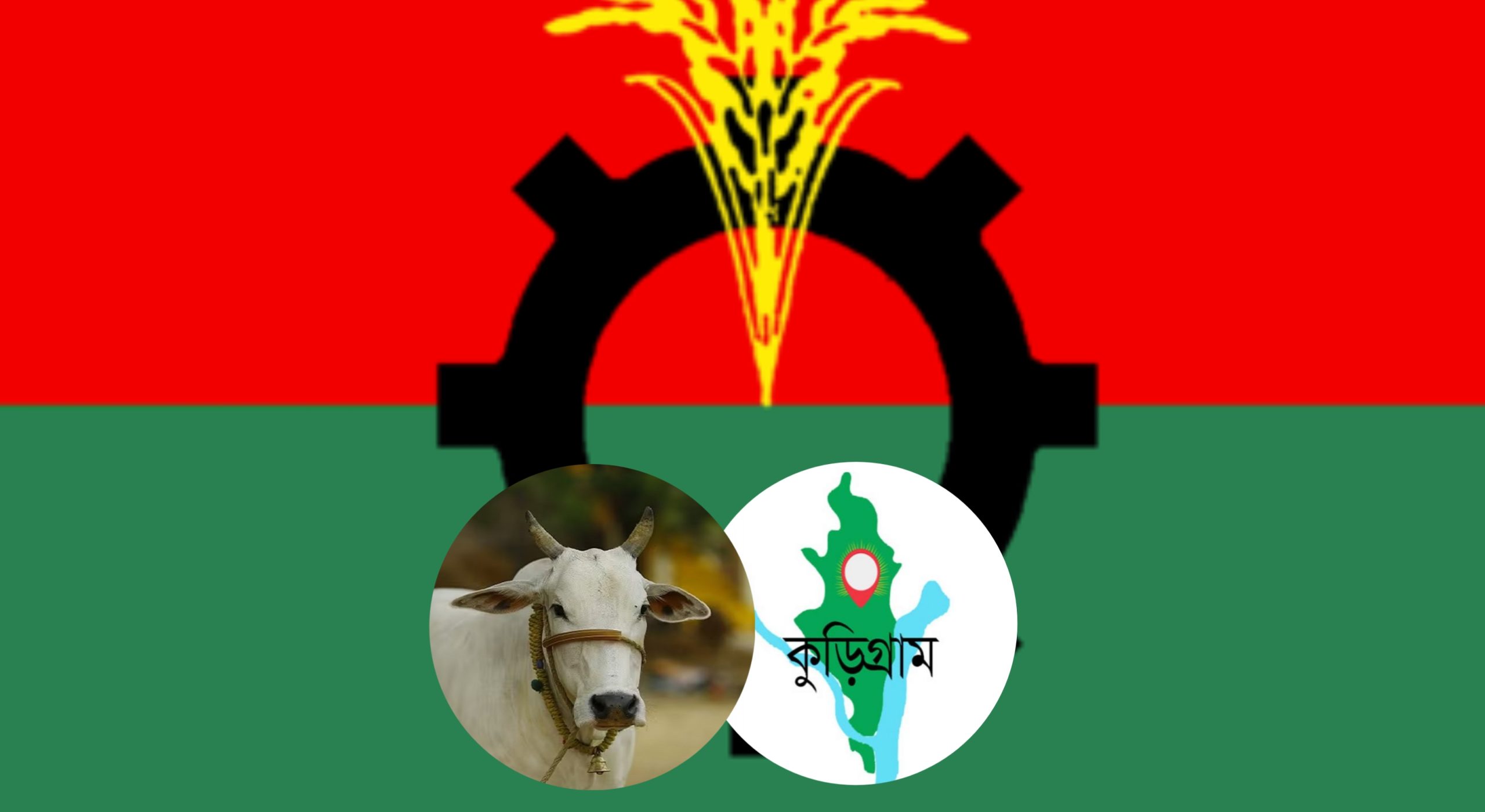 কুড়িগ্রামে গরু নিলামে সিন্ডিকেট ও রাজস্ব ফাঁকি, বিএনপি নেতাকর্মীদের সংঘর্ষে উত্তেজনা
