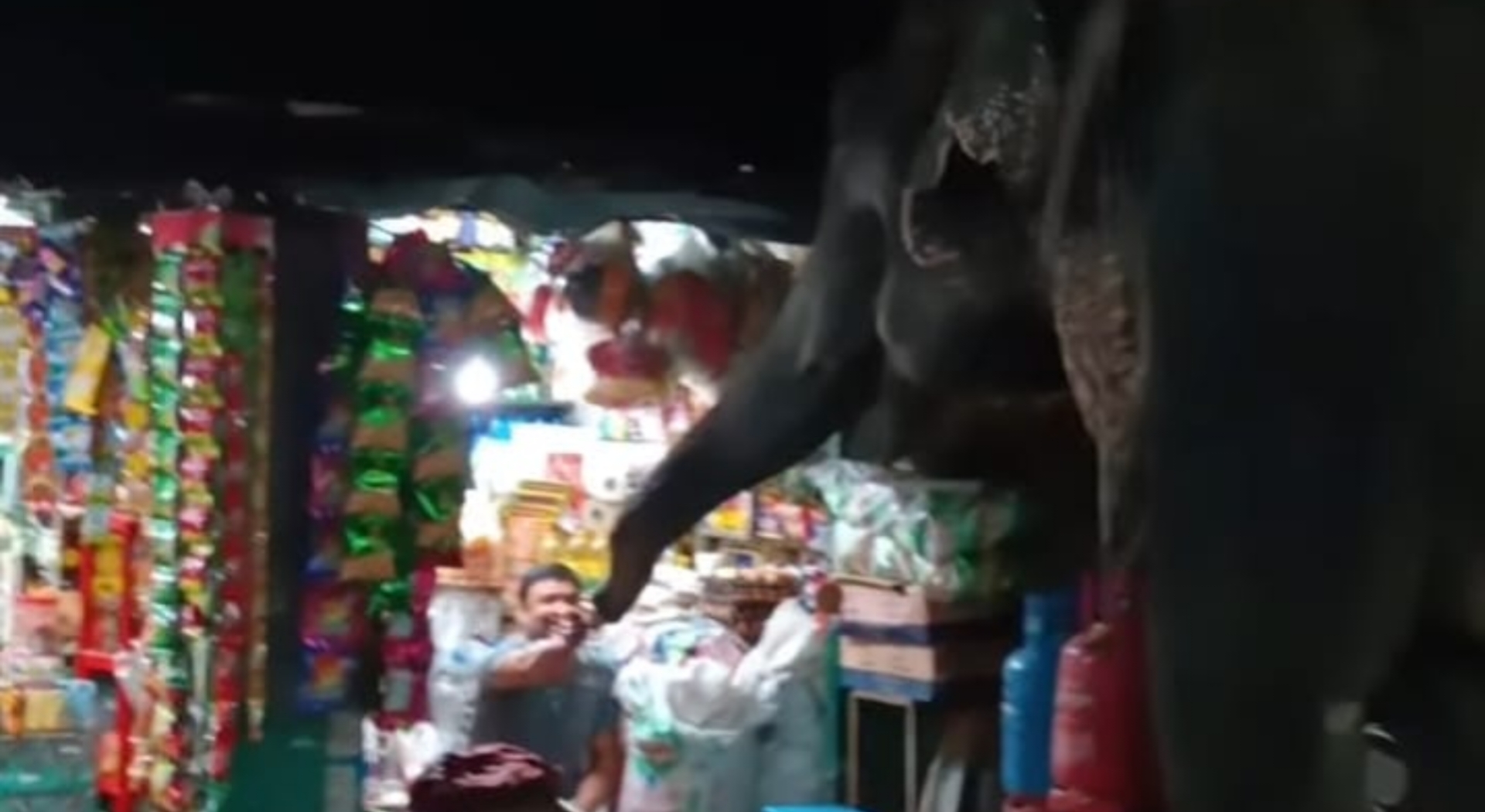 ভূরুঙ্গামারীতে হাতি দেখে আনন্দ, চাঁদাবাজি নয়—মানুষের ভালোবাসার বহিঃপ্রকাশ