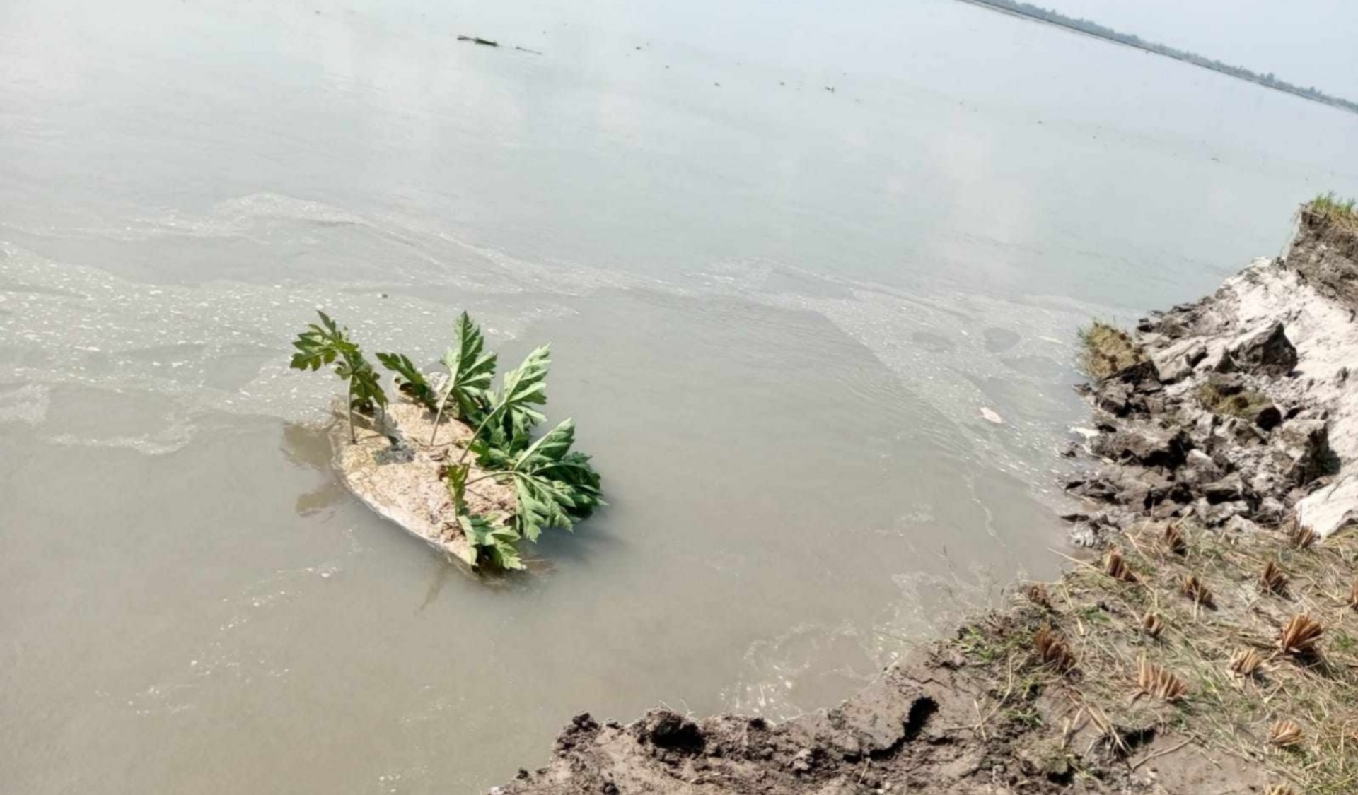 উলিপুরের দলদলিয়া তিস্তা তীরবর্তী ভাঙনে বিলীনপ্রায় জনপদ, দ্রুত পদক্ষেপের দাবি