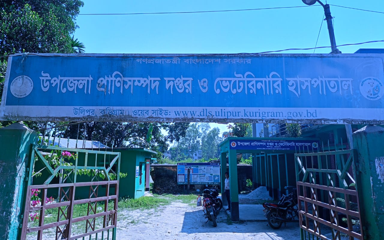 উলিপুরে অ্যানথ্রাক্স প্রতিরোধে সফল উপজেলা প্রাণিসম্পদ অধিদপ্তর: সচেতনতায় বদলে যাচ্ছে পশুপালনের চিত্র