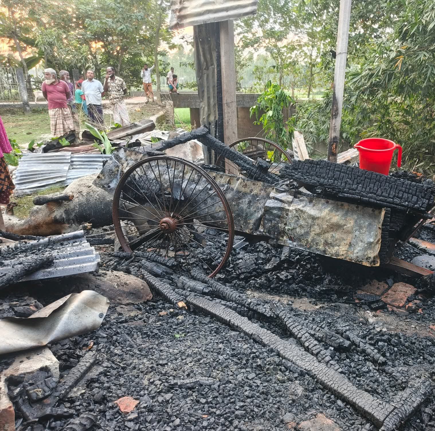 কচাকাটায় অগ্নিকাণ্ডে গরু ও ভ্যানগাড়ি পুড়ে ছাই — নিঃস্ব বৃদ্ধ দম্পতির আহাজারি