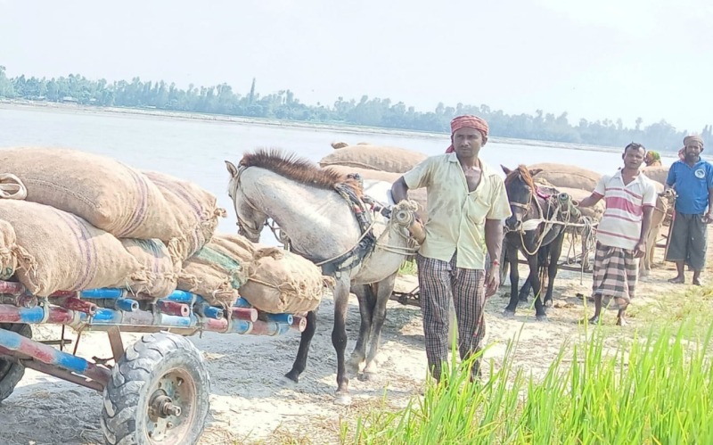 উলিপুরে চরাঞ্চলে নেই রাস্তা,যাত্রী-রোগী পরিবহনে ভরসা শুধু ঘোড়ার গাড়ি
