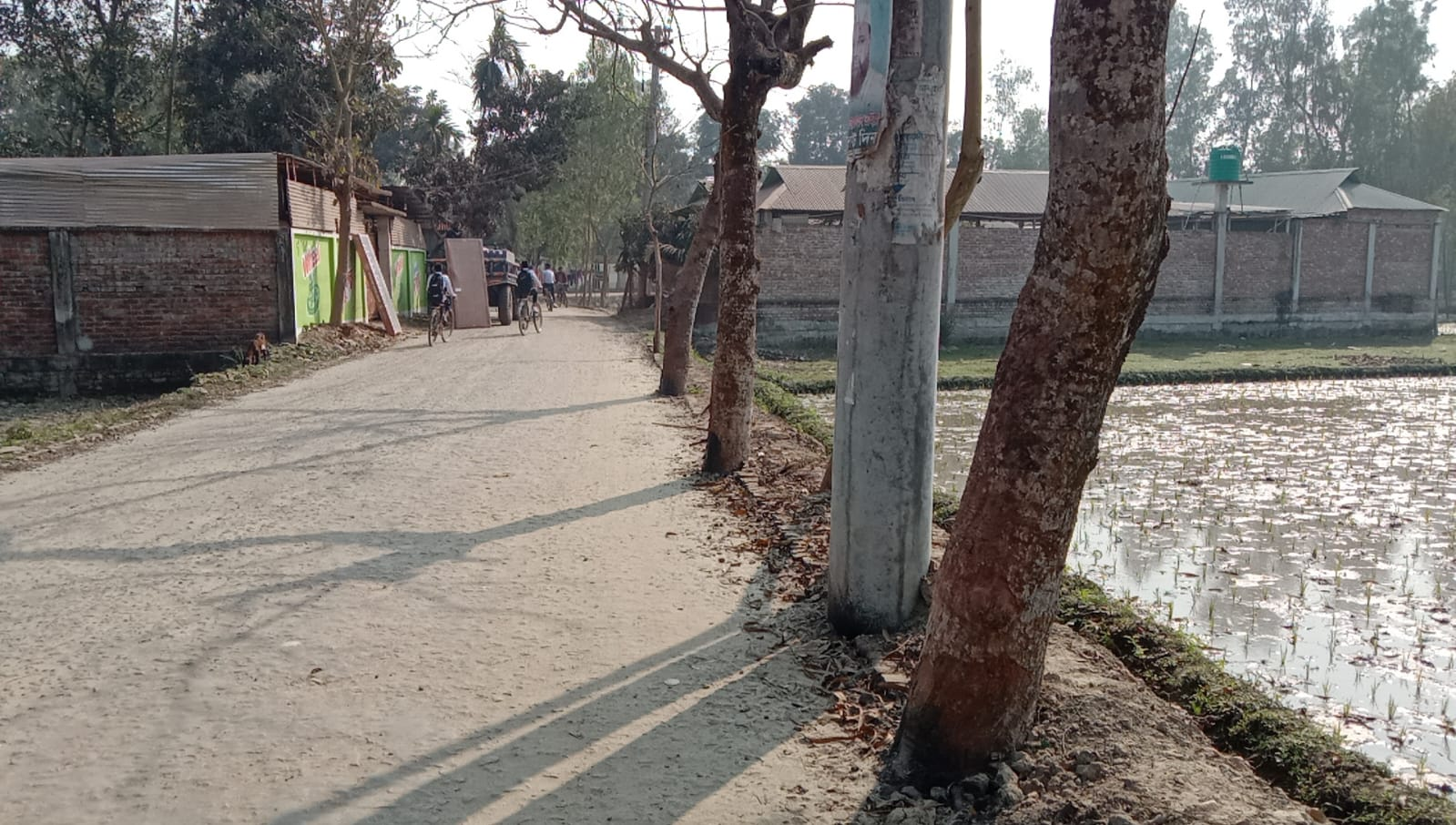 হলোখানাগামী সড়কে অসংখ্য বিদ্যুতের খুঁটি ও গাছ রেখেই চলছে নির্মাণ কাজ