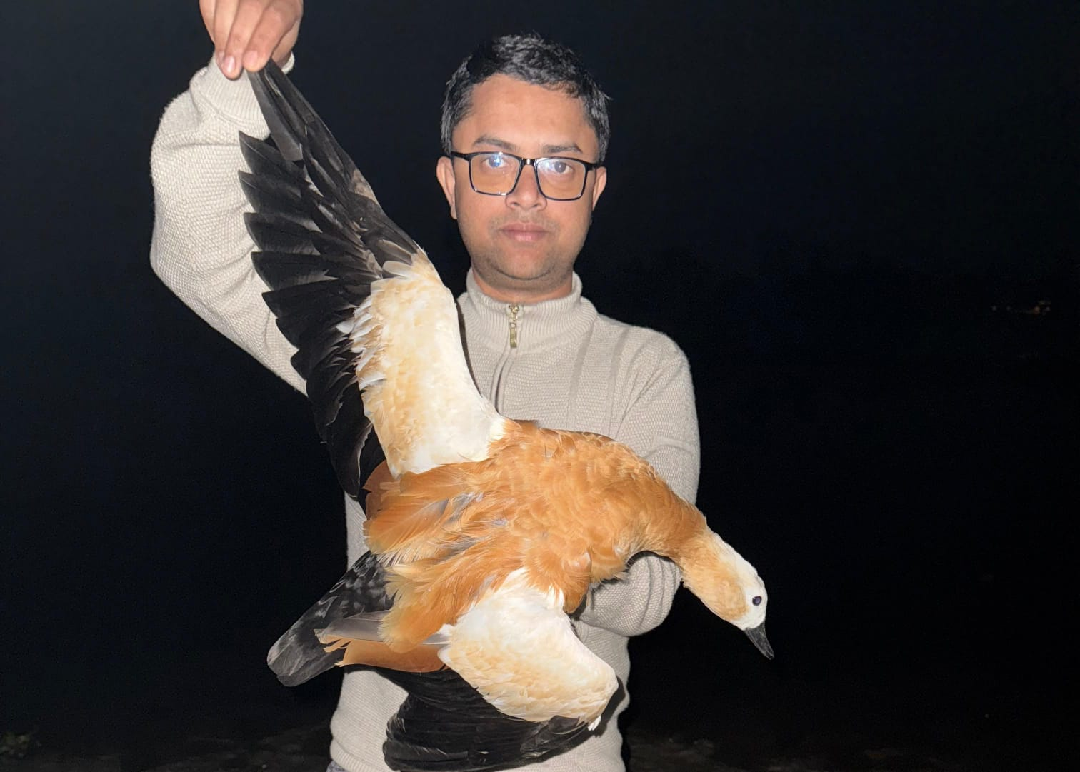 ভূরুঙ্গামারীতে সার্কেল এএসপির অভিযানে বিলুপ্তপ্রায় পরিযায়ী হাঁস উদ্ধার ও অবমুক্ত
