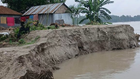 ব্রহ্মপুত্রের ভাঙনে রৌমারীতে গৃহহীন ৭২০ পরিবার, আতঙ্কে তীরবর্তী জনপদ