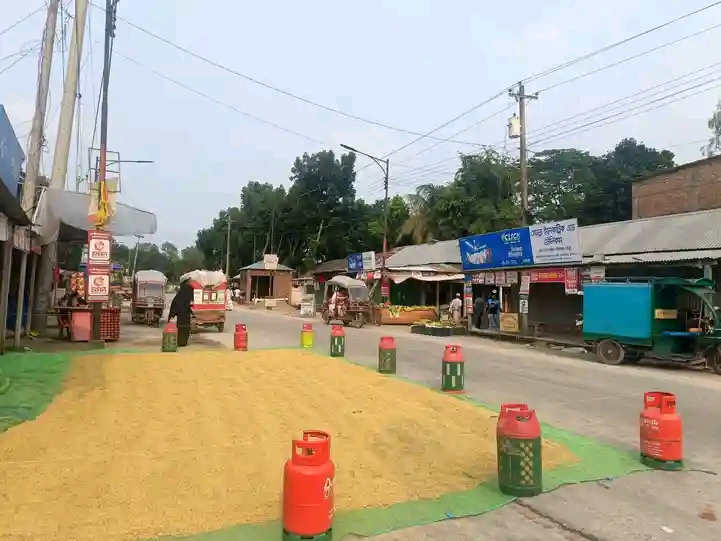 সোনাহাট বাজারে রাস্তার অর্ধেক দখল করে ধান শুকানো ও গ্যাস সিলিন্ডার রাখার অভিযোগ, জনদুর্ভোগ চরমে