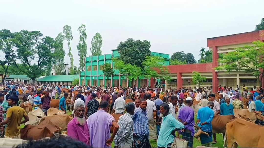 সরকার নির্ধারিত হারের বেশি টোল আদায়: কুড়িগ্রামে পশুর হাট ইজারাদারকে জরিমানা