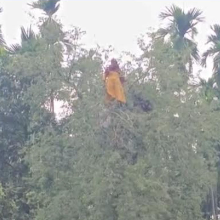 কুড়িগ্রামে রাতে নিখোঁজ গৃহবধূ, সকালে তেঁতুল গাছের মগডাল থেকে উদ্ধার